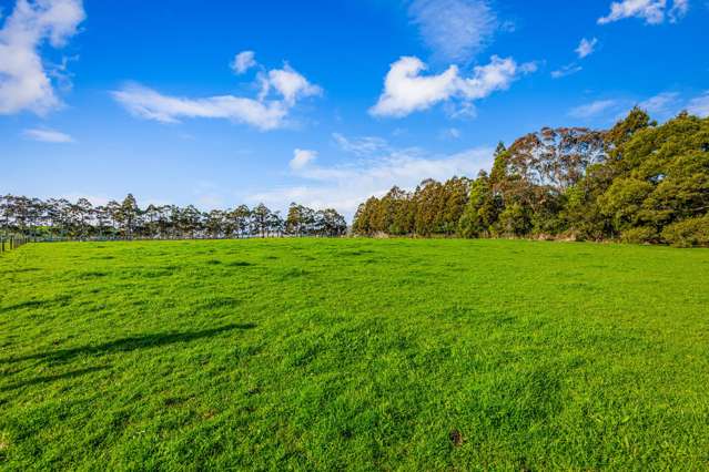 276 Taiapa Road Muriwai_3