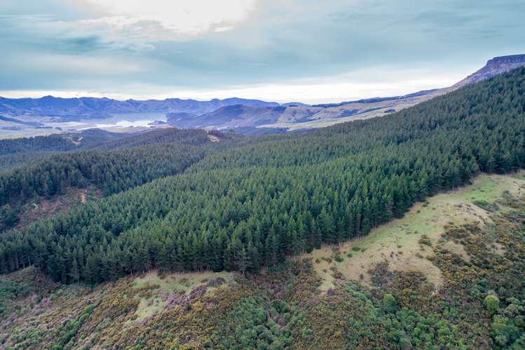 569 Mcqueens Valley Road Gebbies Valley_8