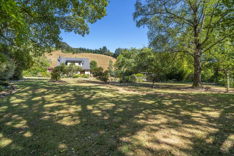 174 Thorpe-Orinoco Road Ngatimoti_5