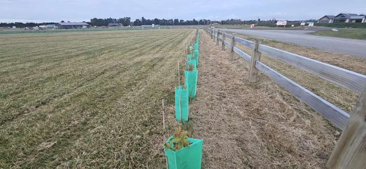 13 Meadowlands Green Allenton_5