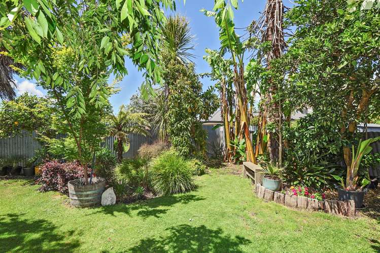 803 Tamatea Street Mahora_13