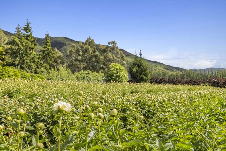 42D Gladsmuir Road Queensberry_11