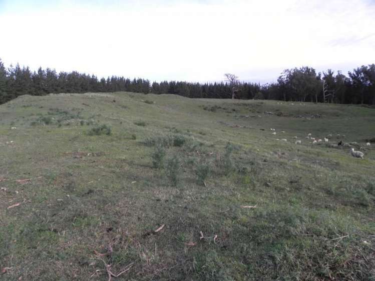 1433 State Highway 3 Turakina_22