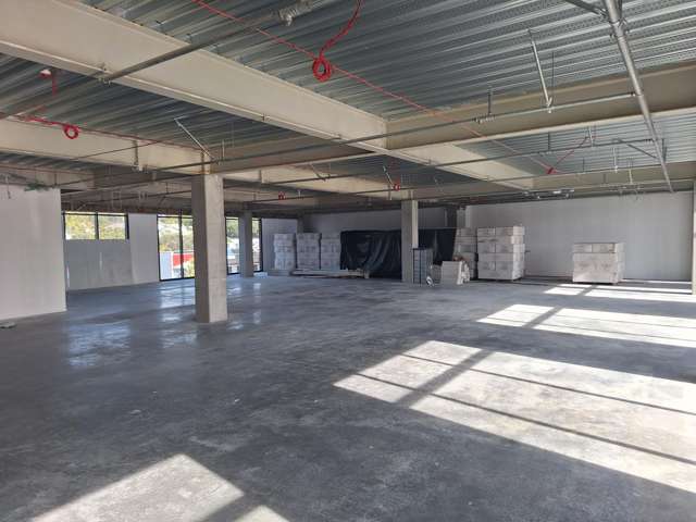 39 Leach Street New Plymouth Central_4