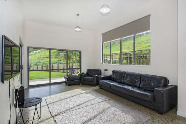 262A Whau Valley Road Whau Valley_3