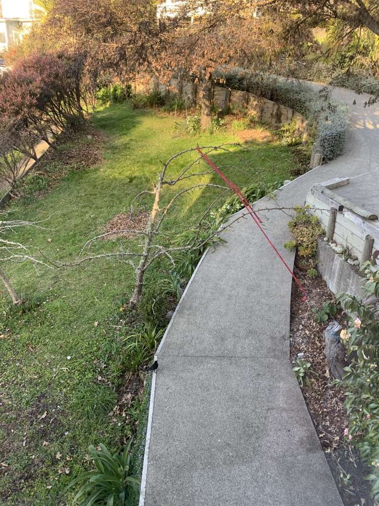 116 Murphy Street Toi Toi_12