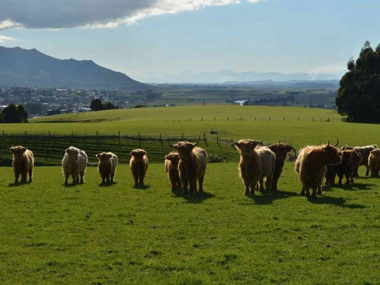 144 Mountain Road Gore Surrounds_2