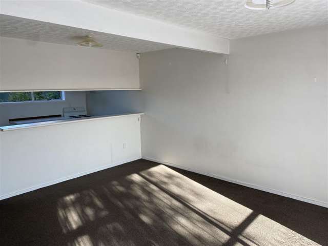 2/14 Frederick Street Waltham_2
