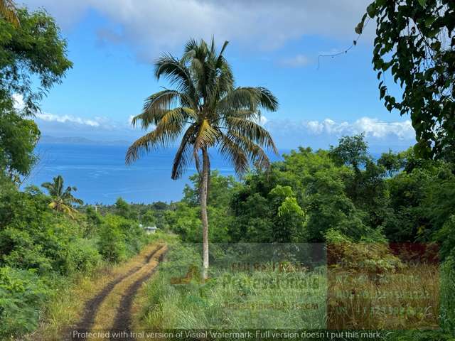 Million Dollar Views from this 10 Acre FREEHOLD land on FIJI’s “Garden Island” of Taveuni