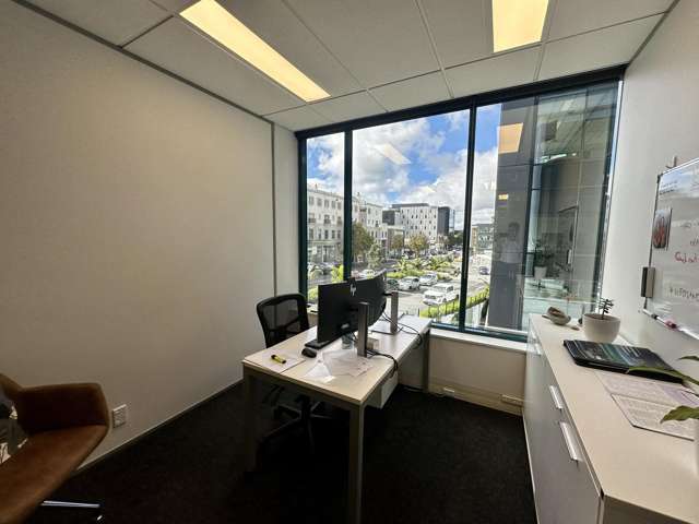 103 Carlton Gore Road Newmarket_4