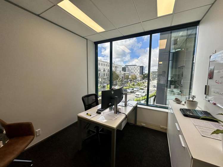 103 Carlton Gore Road Newmarket_4