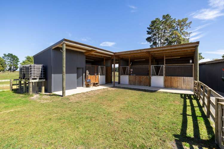 603 Tenfoot Road Taupiri_17