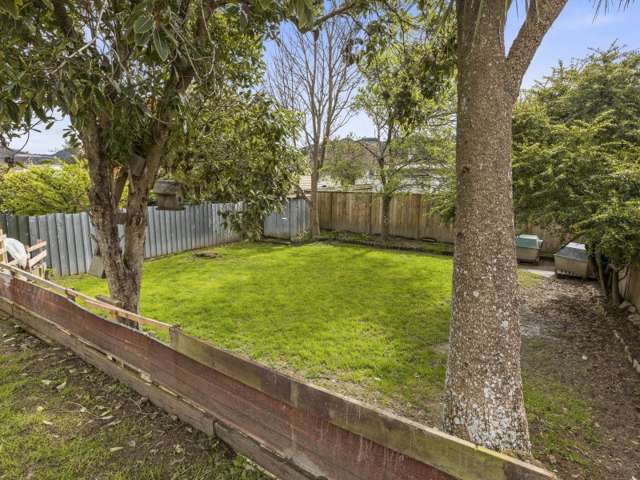 13 Kowhai Avenue Ebdentown_2