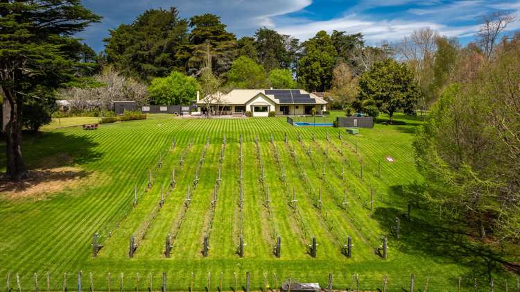 364 Maraetotara Road_2