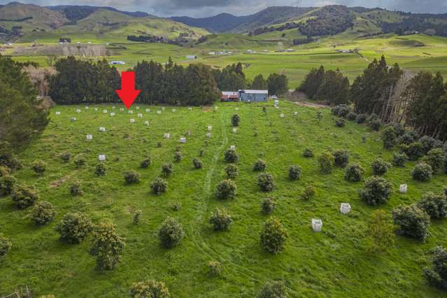 548B Waihi Whangamata Road Waihi_2