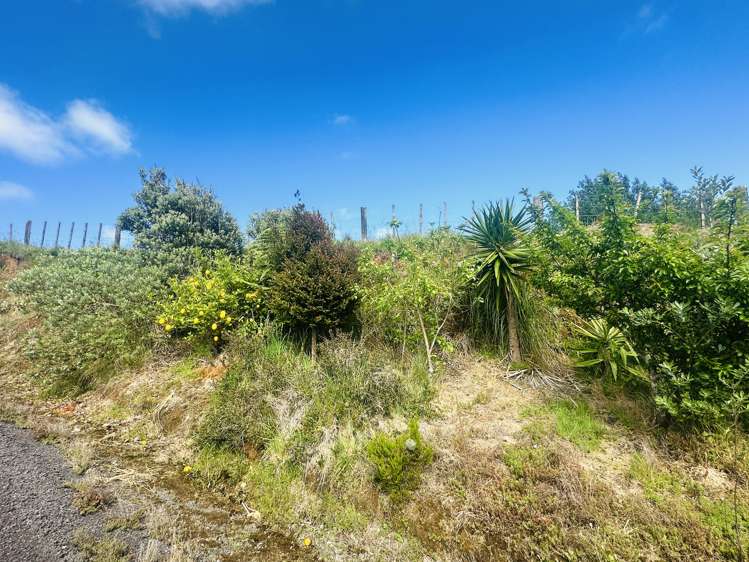 75d Bishop Road Hillsborough_14