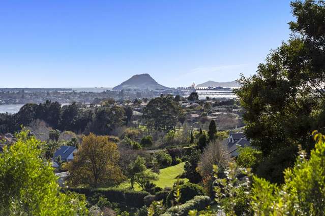 50 Upper Ohauiti Road Ohauiti_3