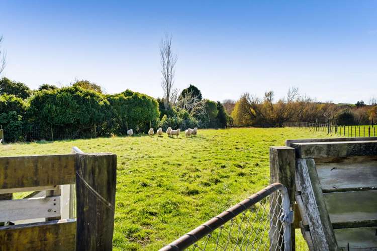 97 Manutahi Road Tarurutangi_47