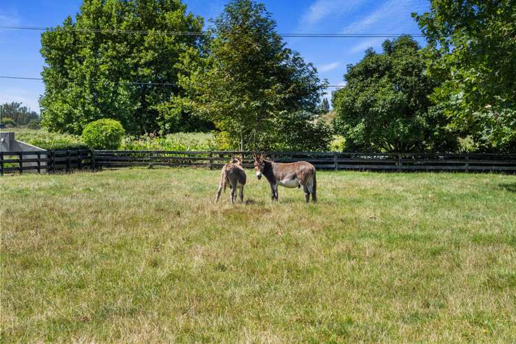 1713 Gordonton Road Taupiri_31