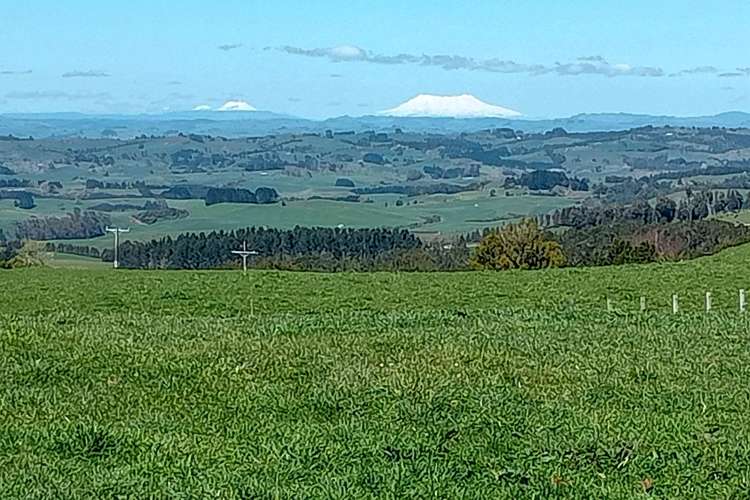 373 Pekanui Road Pirongia_5
