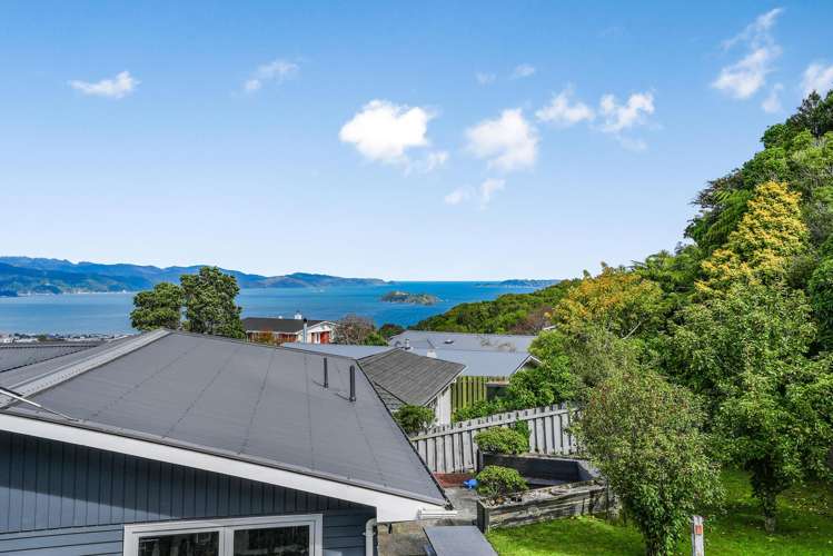 3 Camellia Terrace Maungaraki_6