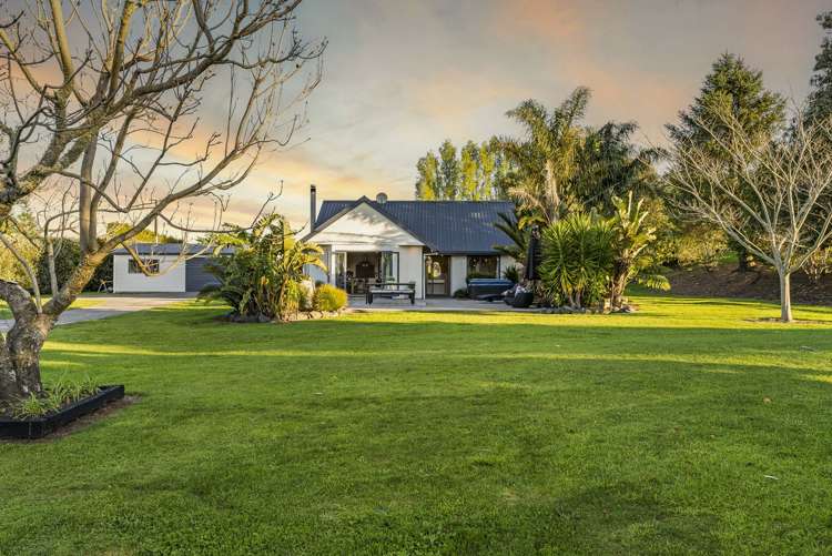 233 Ross Road Whakamarama_2