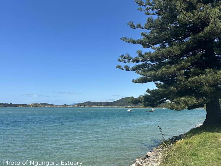 Lot 3 Waiotoi Road Ngunguru_18