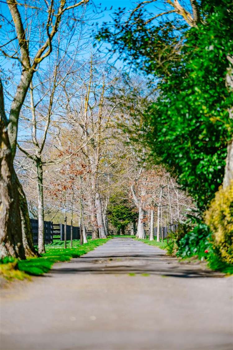 122 Rotoorangi Road Cambridge_35