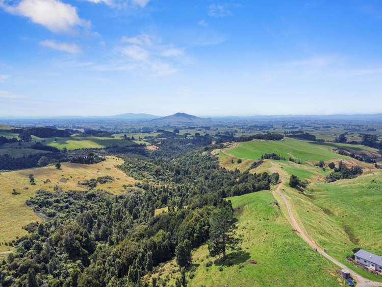 870 Mangati Road Pirongia_10