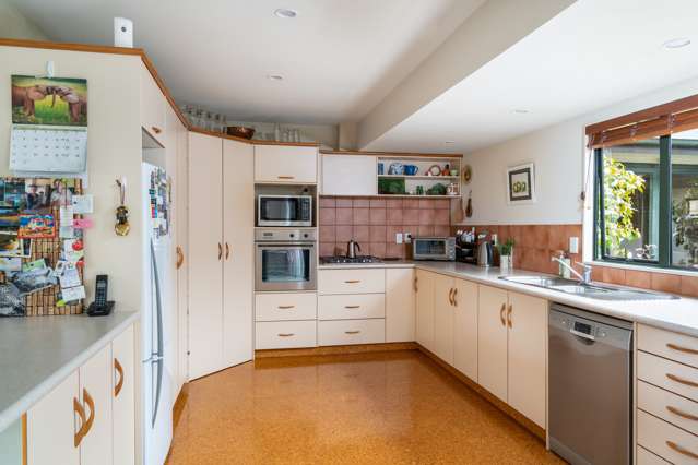 1 Kips Way Rangatira Park_4