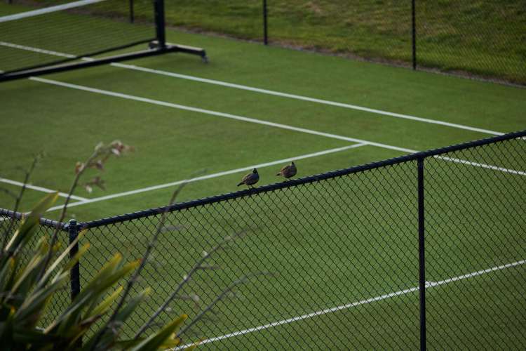 75 Millar Road Haumoana_33