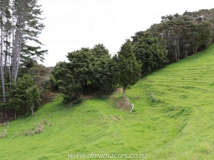 412c Paihia Road Kawakawa_20