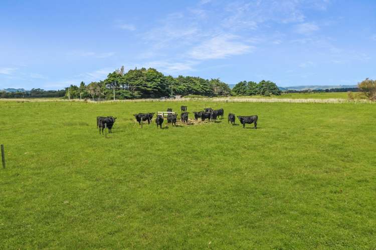 Broomfield Road Woodville_11