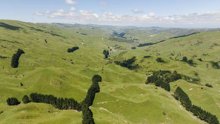 1337 Coonoor Road Pahiatua_1