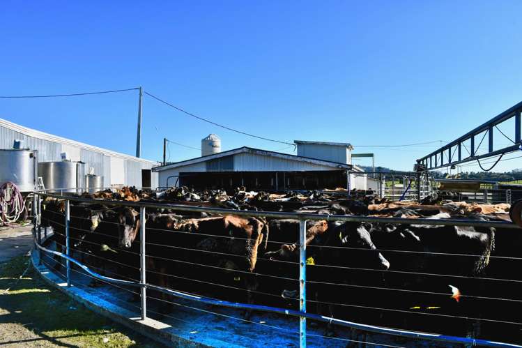 451 Umere Road Karamea_10