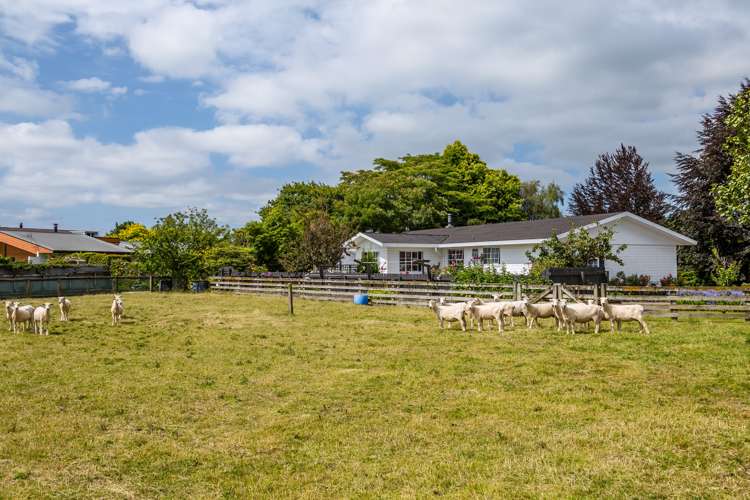 22 Hamilton Street Pahiatua_23