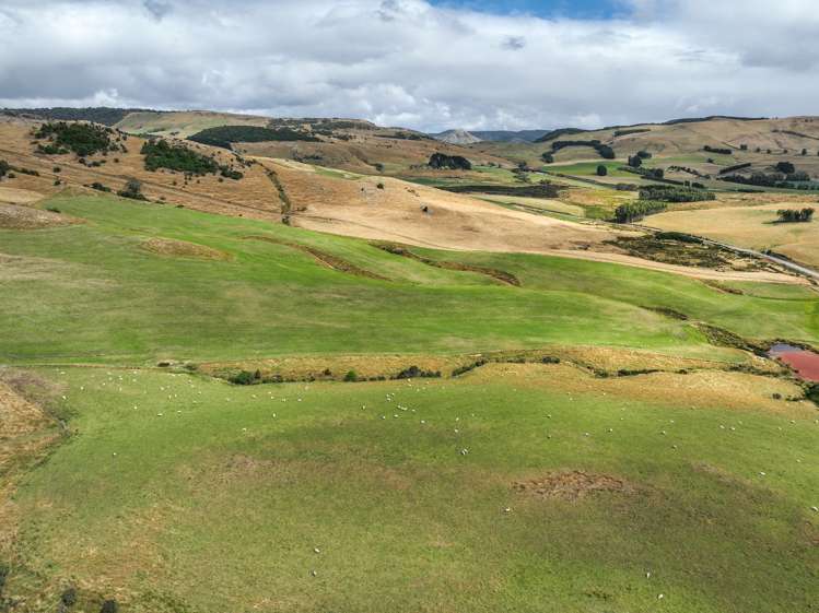 1320 Hunt Road Catlins Surrounds_7