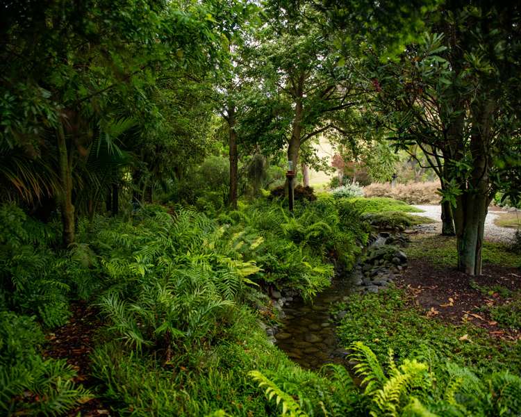 239 Redwood Street Witherlea_10