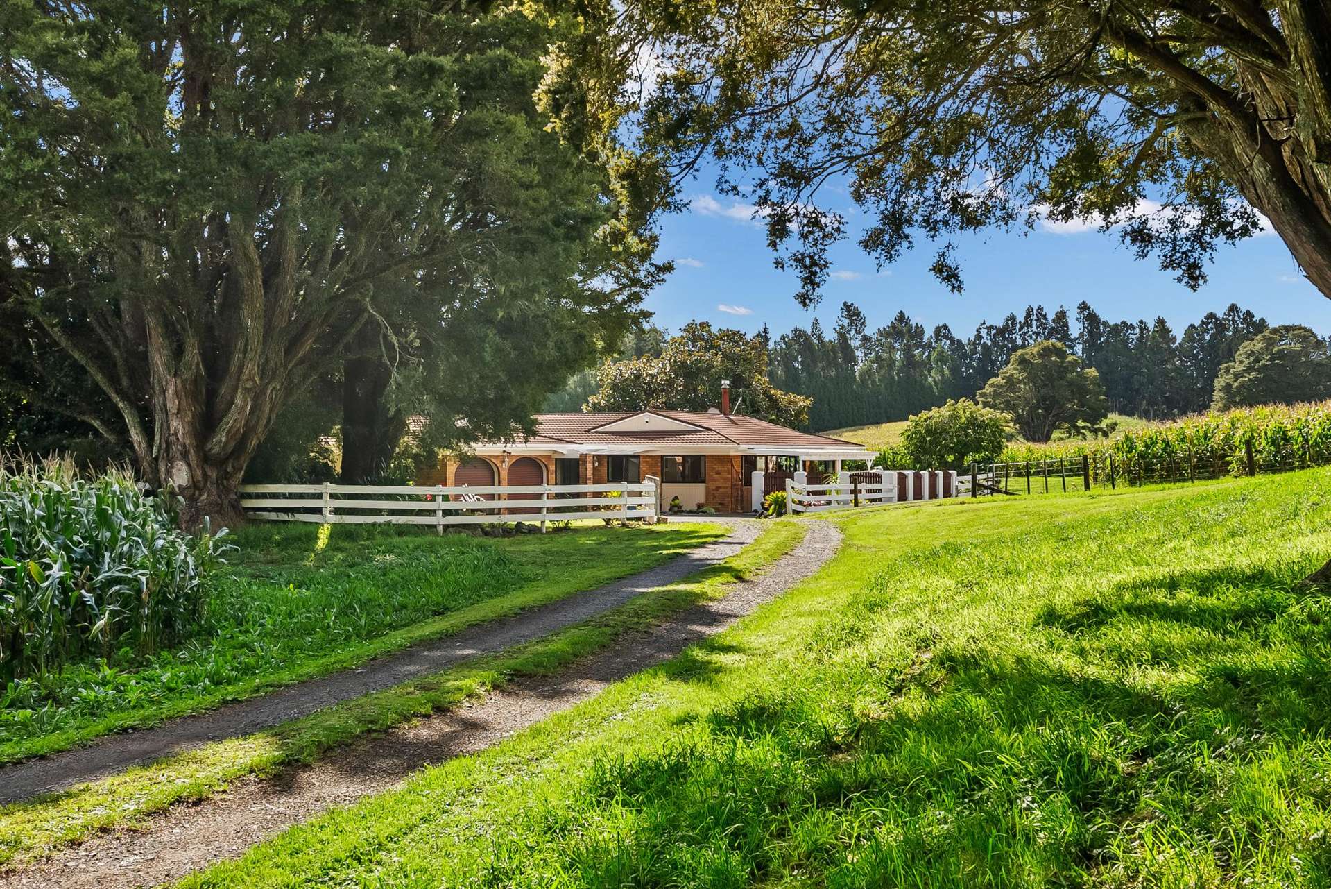 397 Three Mile Bush Road Te Kamo_0