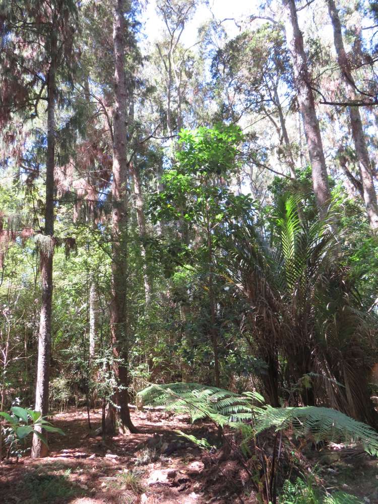 504b Wairere Road Maungaturoto_33