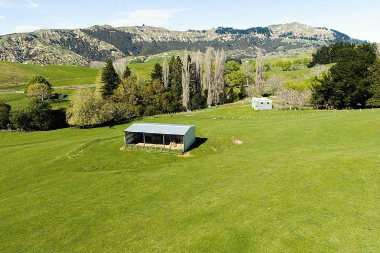 468 Waikoau Road Tutira_5