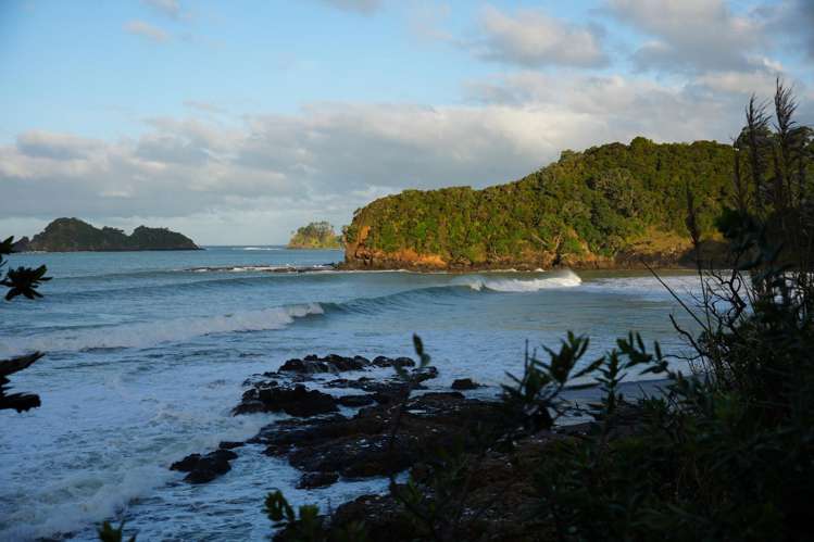 Lot 1 Tern Lane Whananaki_15