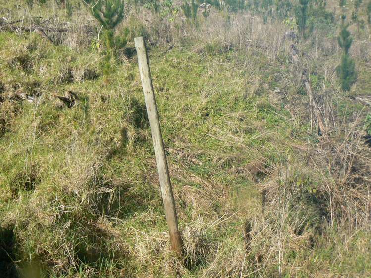 LOT 6 Iwitaua Road Mangamuka_16