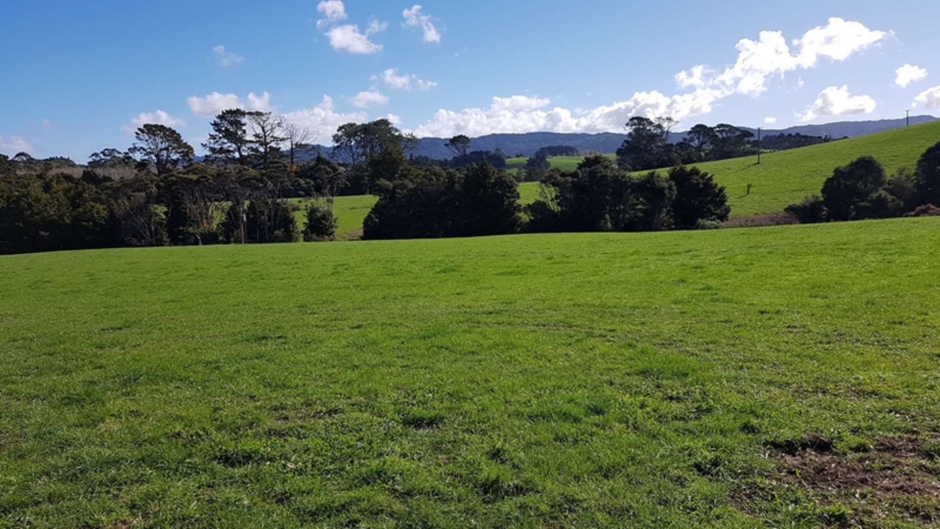 486 Green Road Matakana Rodney Houses for Sale One Roof
