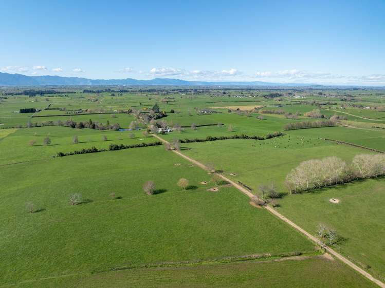 97 Herbert Road Morrinsville_14