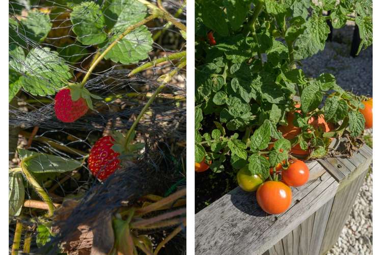 3 Norwich Place Bethlehem_22