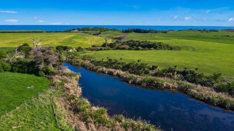 2585 South Road Otakeho_7