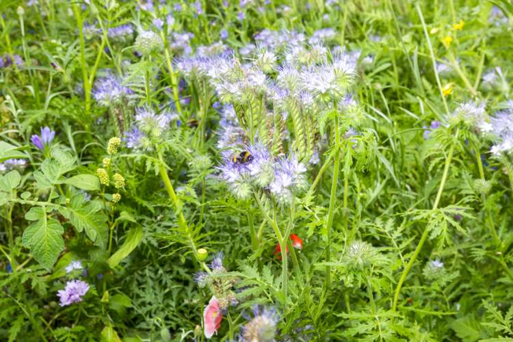 81 Raukawa Street Stokes Valley_21