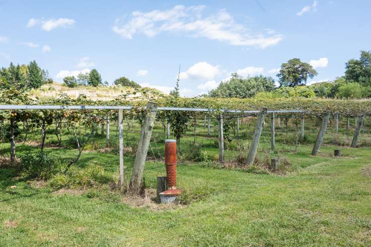 730 Old Coach Road Pongakawa_24