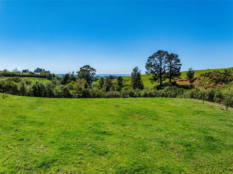 383 Busby Road Katikati_19